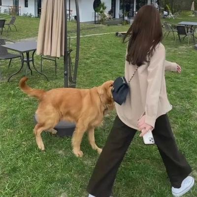 终极欧巴