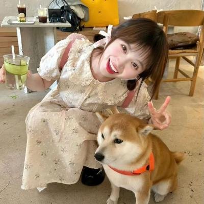 奇兵神犬